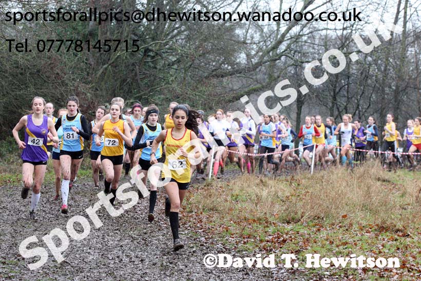 Intermediate girls Northern Inter Counties Schools Cross Country, Stockton. Photo: David T. Hewitson/Sports for All Pics
